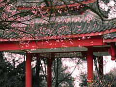 -南山植物园