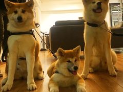 -YCHL Studios健身工作室(市二宫店)