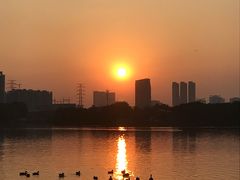 -海珠湖公园