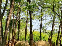 -北京野生动物园