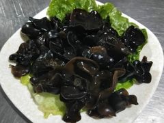 木耳-马帮寨院坝火锅(龙港公园店)