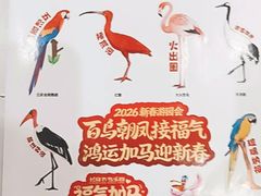 -广州长隆飞鸟乐园