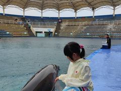 -北戴河圣蓝海洋公园