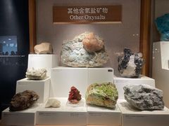 -上海自然博物馆