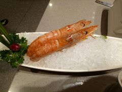阿根廷大红虾-海底捞火锅(苏宁生活广场店)