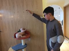 -猫腻·猫咖·撸猫馆(星光大道店)
