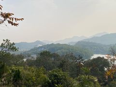 -中山市树木园