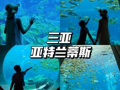 -三亚亚特兰蒂斯度假区