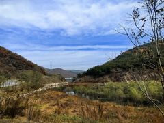-小城粥道·海胆鲜虾粥(解放广场店)