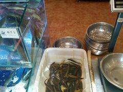 活鱼-胖姐渔村(中源大道店)