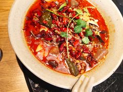 -辛香汇·现炒川菜(淮海路百盛店)