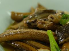 -沪依小酒馆心意菜