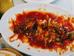 松鼠桂鱼-金时代顺风大酒店(金山店)