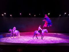 -cavalia·舞马