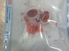 -伟伟宠物医院·CT影像中心·瑞派犬猫综合性门诊(汉口总院)