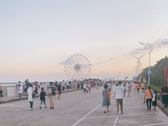 -奉贤海滩