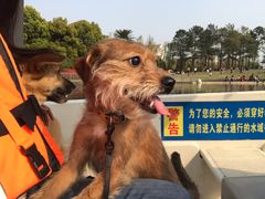 -美兰湖景区
