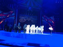 -珠海横琴长隆《卡卡虎奇遇记》