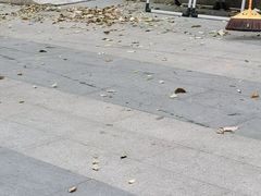 -王妈热卤·川味馆(海昌店)