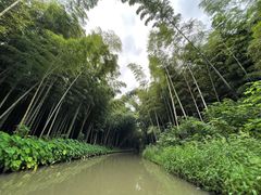 -同里国家湿地公园