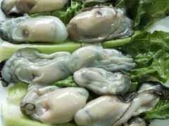 -蚝专家