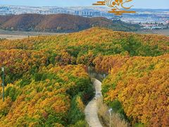 -六鼎山文化旅游区