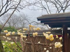 -新荣记(西溪湿地店)