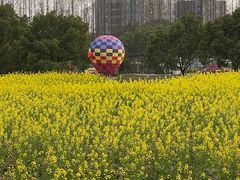 -嘉北郊野公园