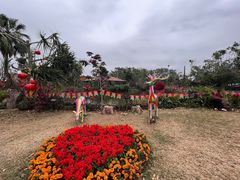 -海南热带野生动植物园