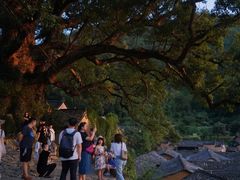 -杨家堂村