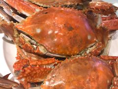 -赶海部落海鲜城(海阳路店)