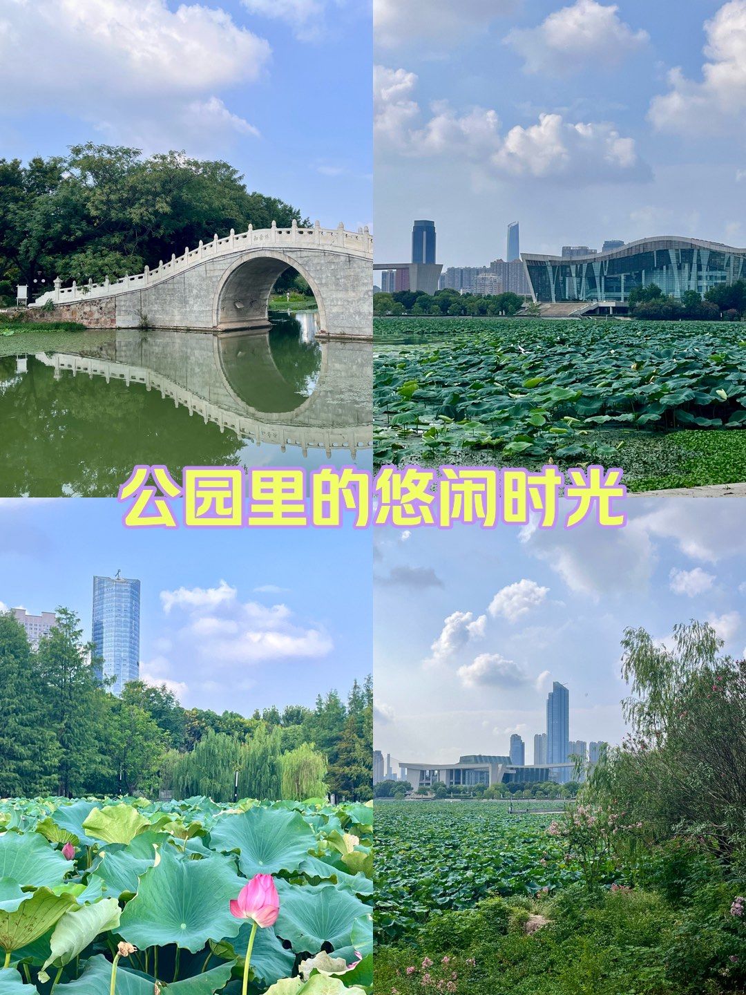 🌟感受:月湖公园是一个放松身心的好去处.在这里