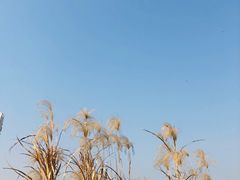 -马栏山视频文创产业园