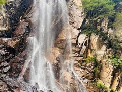 -陕西省红河谷森林公园