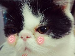 android_upload_pic-乐宠宠物店(世纪金源店)
