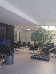 -付军剪艺JF ProSalon