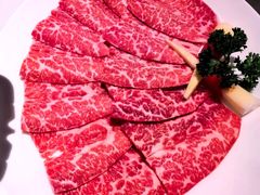 -洋房火锅(上海新天地南北里店)
