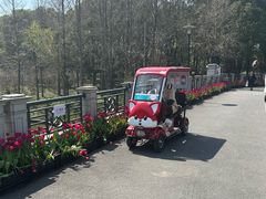 -上海鲜花港