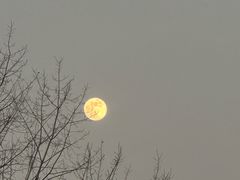 -合肥滨湖国家森林公园