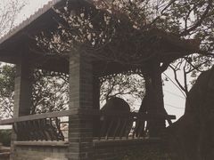 -竹吟山房