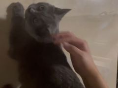 -宠颐生宠物医院·犬猫全科·皮肤科(商业街店)