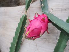 -南通洲际绿博园