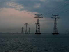 -宝安西湾红树林湿地公园