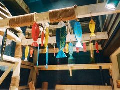 -猫咪博物馆(顶澳仔猫街店)