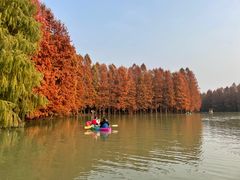 -上海海湾国家森林公园