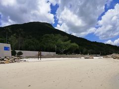 -杨梅坑