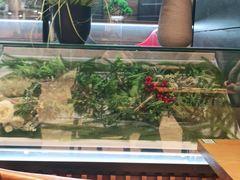-面乙新派手擀面(大悦城店)