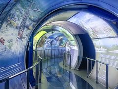 -房山世界地质公园博物馆