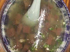 -九斤黄三黄鸡专卖店