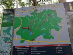 -火炉山森林公园